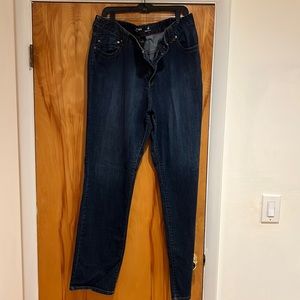 Lane Bryant Jeans.  22T dark jeans